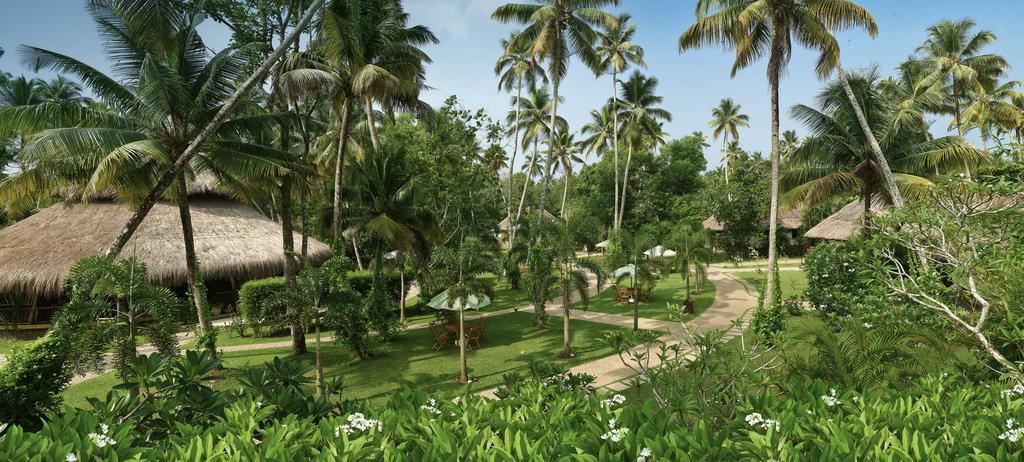 Carnoustie Ayurveda & Wellness Resort Alappuzha Екстериор снимка